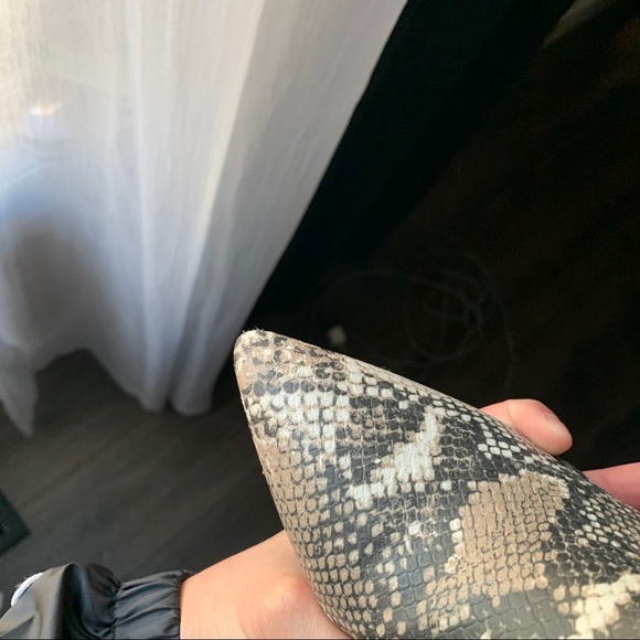 Snake print booties - Picture 7 of 8